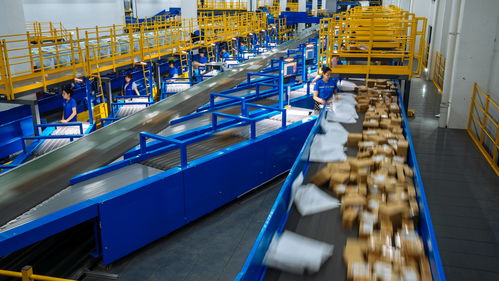 春節(jié)快遞不打烊 多家公司回應(yīng)，商務(wù)服務(wù)不打烊成新常態(tài)